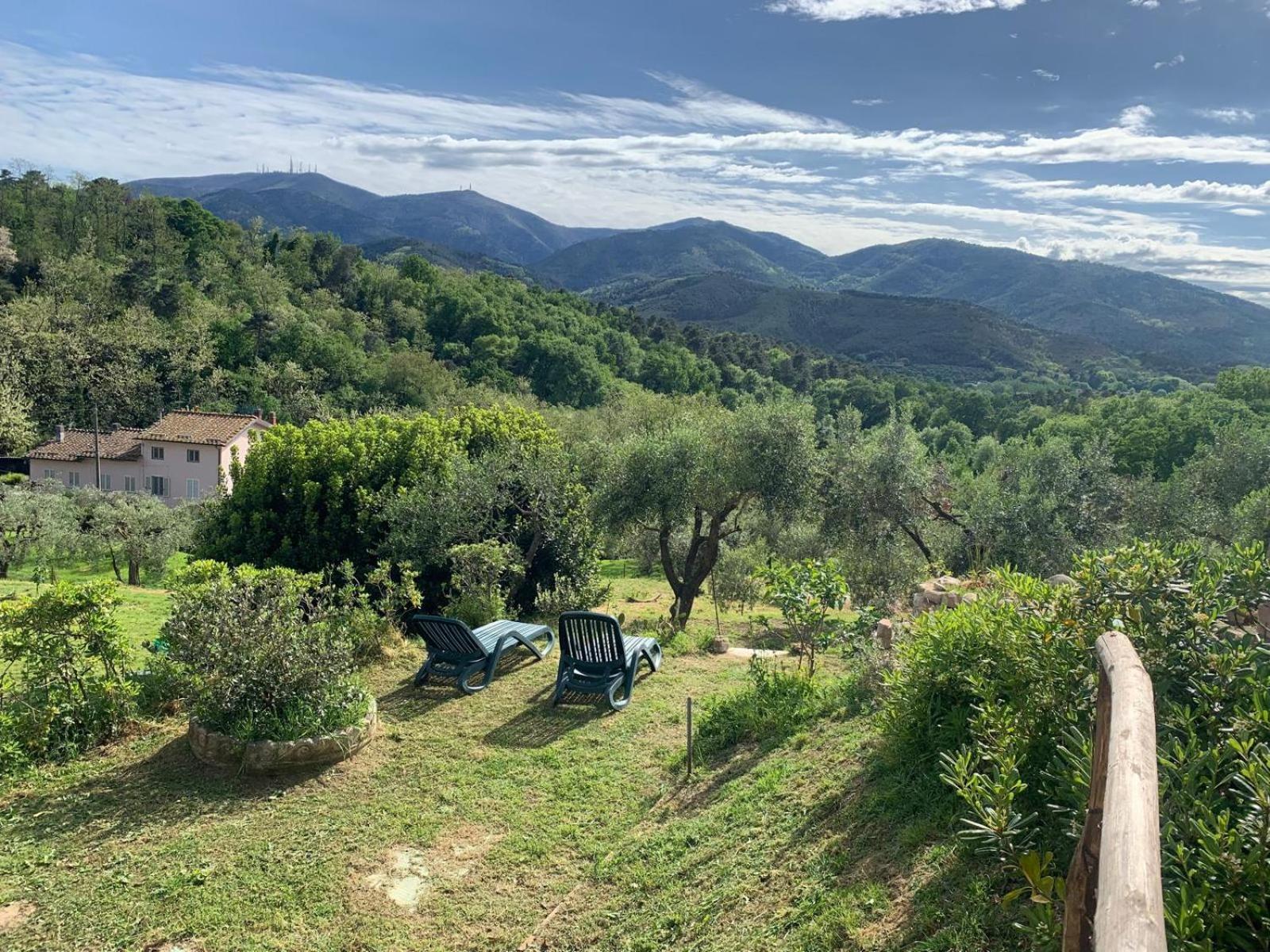 La Capanna Di Arturo Piano Terra Villa Capannori Exterior foto
