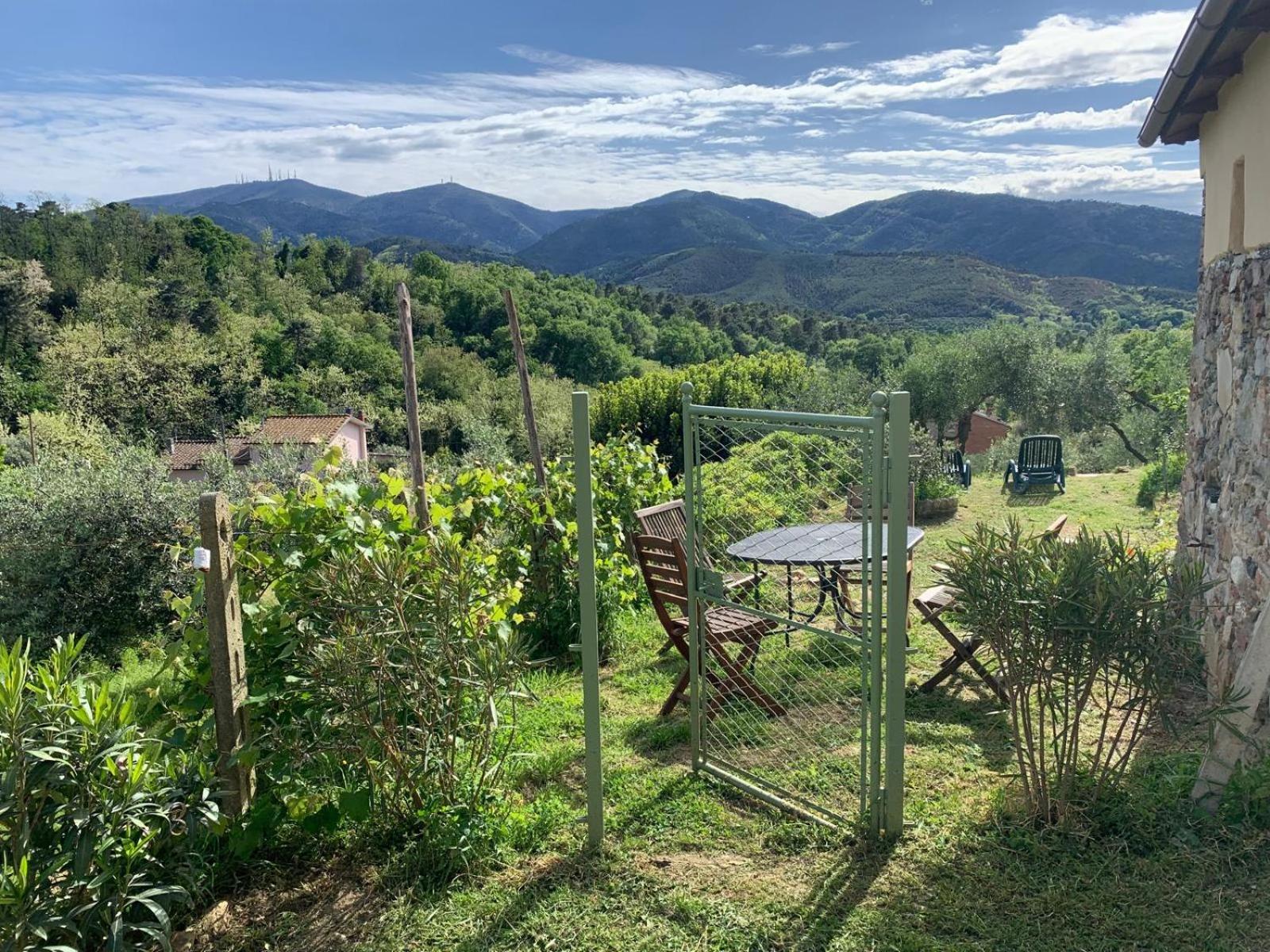 La Capanna Di Arturo Piano Terra Villa Capannori Exterior foto